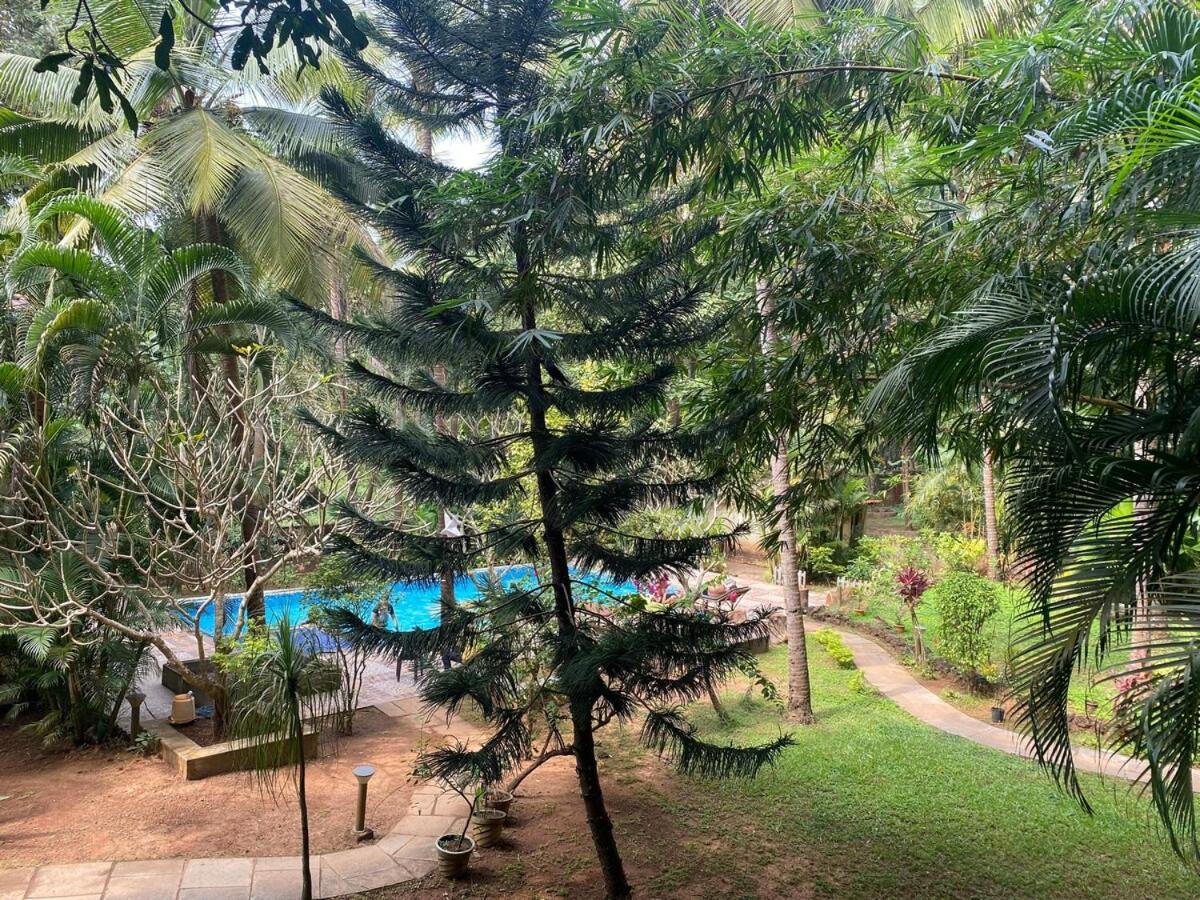 Tranquil Stay, Garden Estate - Palolem 1Bhk Flat Canacona Exterior foto
